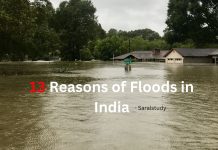 Top Reasons of Floods in India: Causes & Impacts 13 Reasons of Floods in India