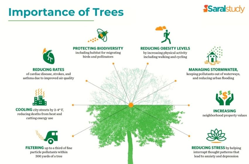 what is the importance of tree planting