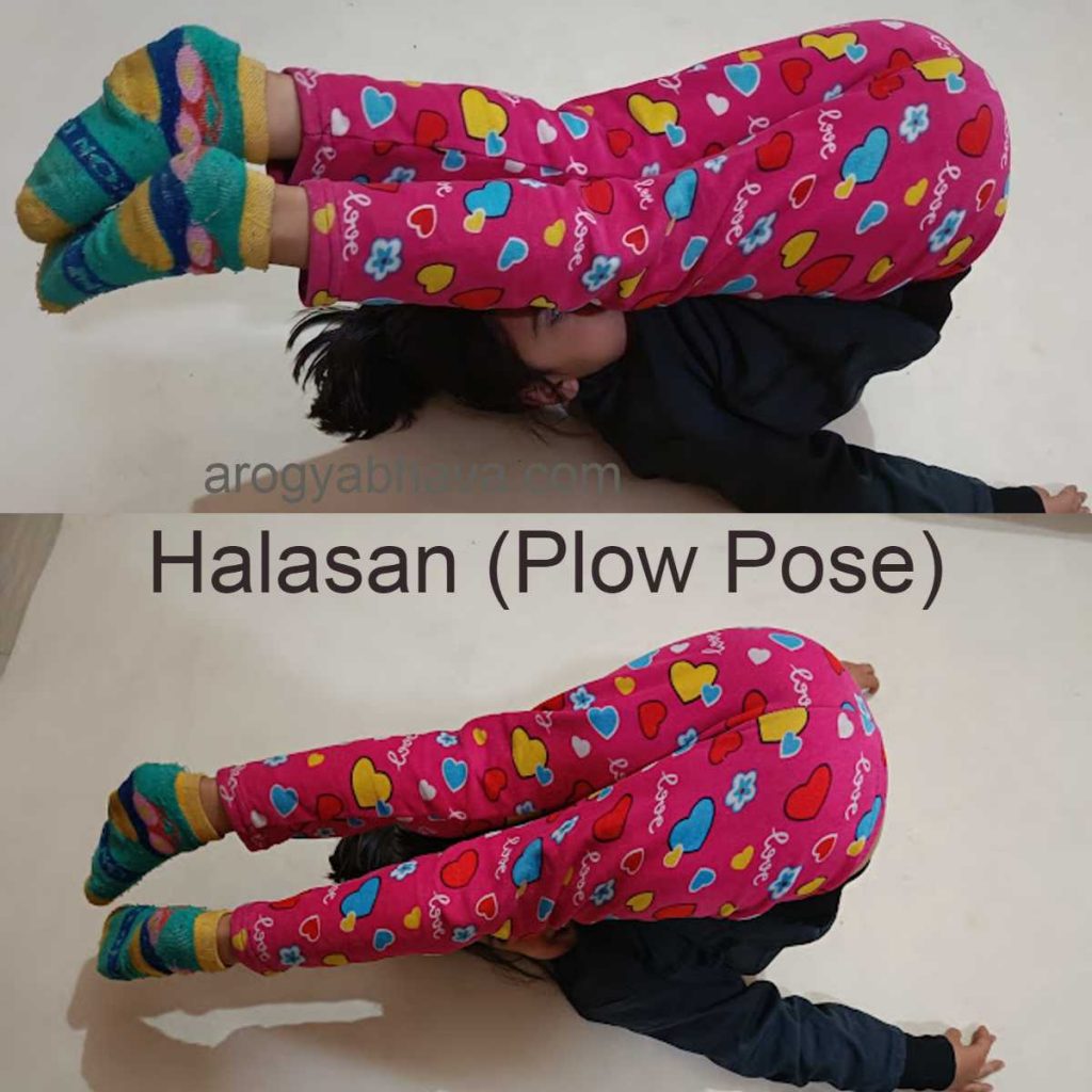 halasana- plow pose