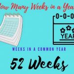 How many weeks in a year