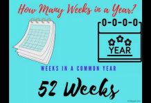 How Many Weeks In A Year How many weeks in a year