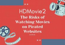 HDMovie2: The Risks of Watching Movies on Pirated Websites HDMovie2: The Risks of Watching Movies on Pirated Websites